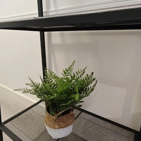 Apartamento ático Estudio Centro Vigo, Luminoso Vigo